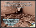 /album/galeria-de-fotos-2-papeis-de-parede/cm-17-jpg/